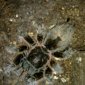 Meet your Posher, Mark